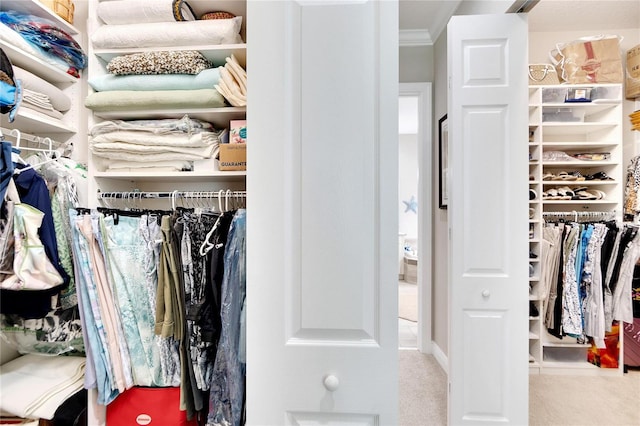 walk in closet featuring light carpet