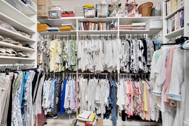 view of spacious closet