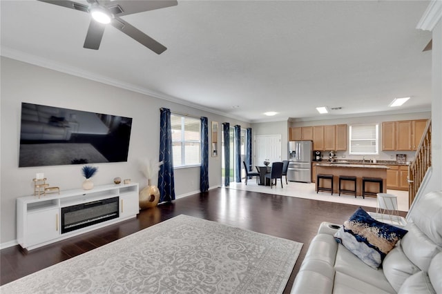 living room with sink, ceiling fan, crown molding, and dark hardwood / wood-style flooring