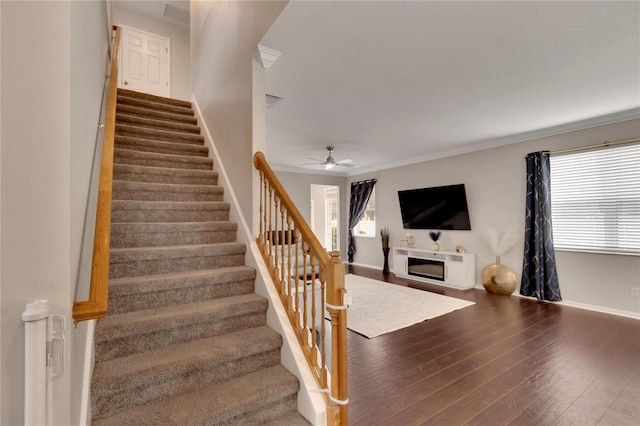 stairs featuring wood-type flooring, ceiling fan, and crown molding