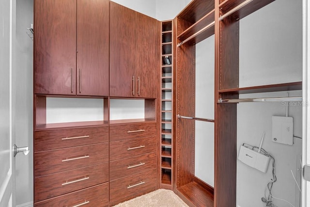 walk in closet featuring wood-type flooring