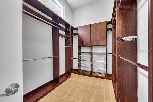 walk in closet featuring dark wood-type flooring