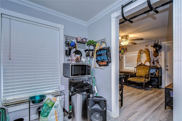 interior space with ceiling fan, light hardwood / wood-style floors, and crown molding