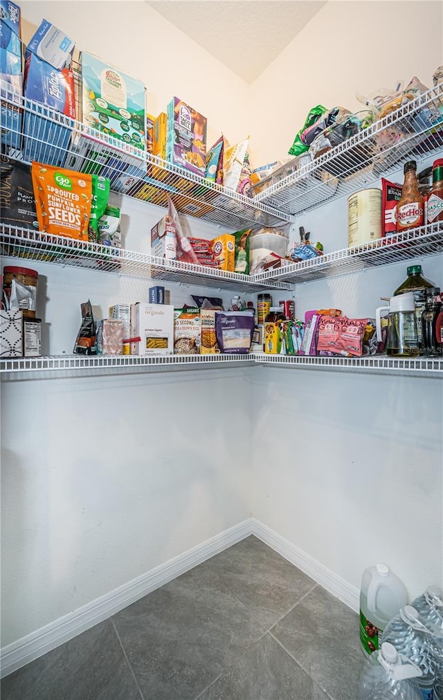 8367 Ender Hills Dr, Wesley Chapel, FL 33545 - view of pantry