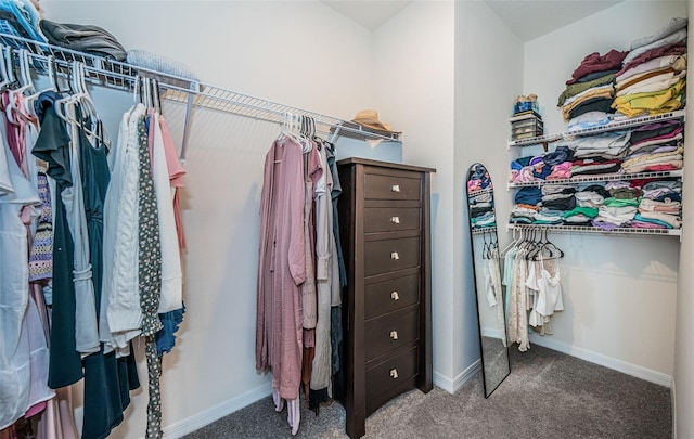 spacious closet featuring carpet