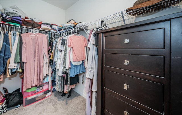 walk in closet featuring carpet floors