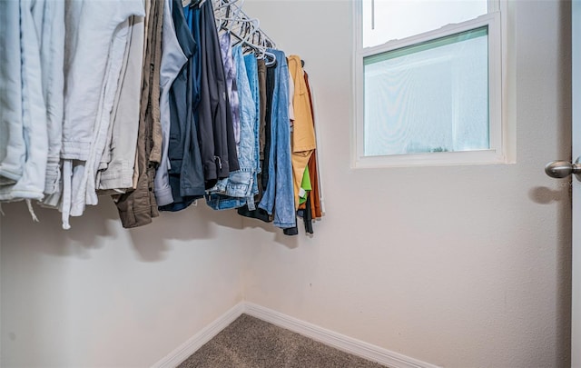 8367 Ender Hills Dr, Wesley Chapel, FL 33545 - spacious closet with carpet flooring