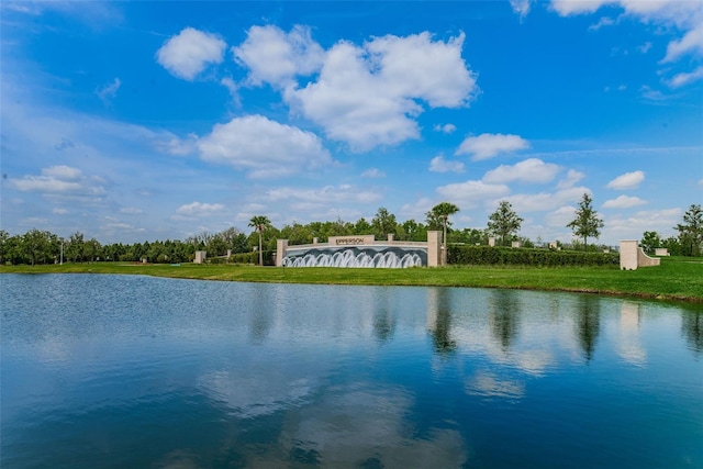 8367 Ender Hills Dr, Wesley Chapel, FL 33545 - water view