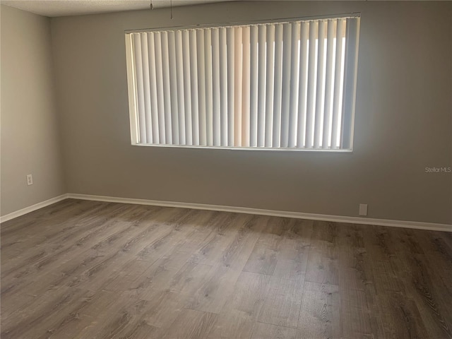 empty room with wood-type flooring