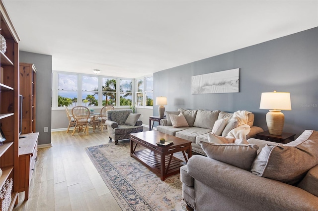 living room featuring a wealth of natural light and light hardwood / wood-style flooring