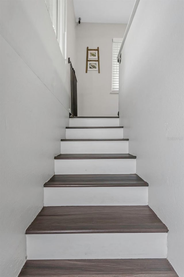 7331/2 New Jersey St, Clearwater, FL 33756 - staircase with wood finished floors