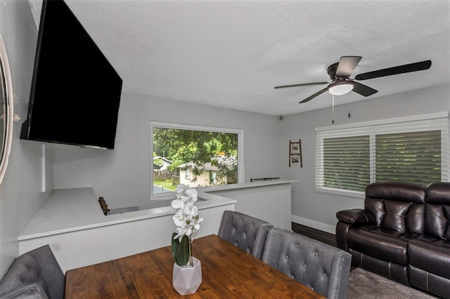 7331/2 New Jersey St, Clearwater, FL 33756 - living area with baseboards, a textured ceiling, ceiling fan, and wood finished floors