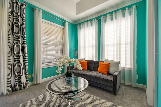 sitting room with a textured ceiling, crown molding, and carpet