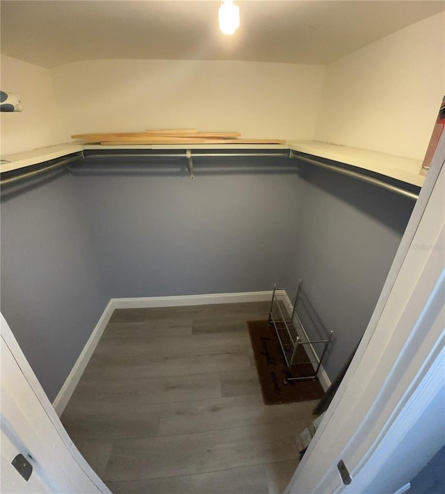 10800 US Highway 19 N Unit 112, Pinellas Park, FL 33782 - walk in closet featuring wood finished floors