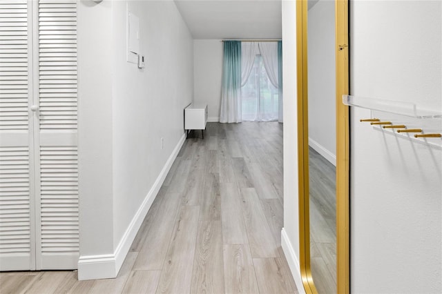 10800 US Highway 19 N Unit 112, Pinellas Park, FL 33782 - hallway with wood finished floors and baseboards
