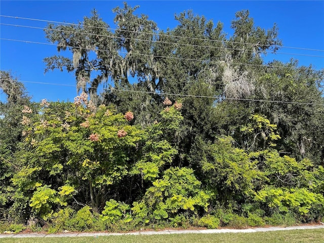 Listing photo 3 for W 60th Hwy, Plant City FL 33567