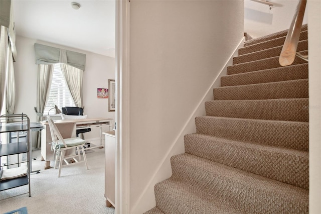 stairway featuring carpet flooring