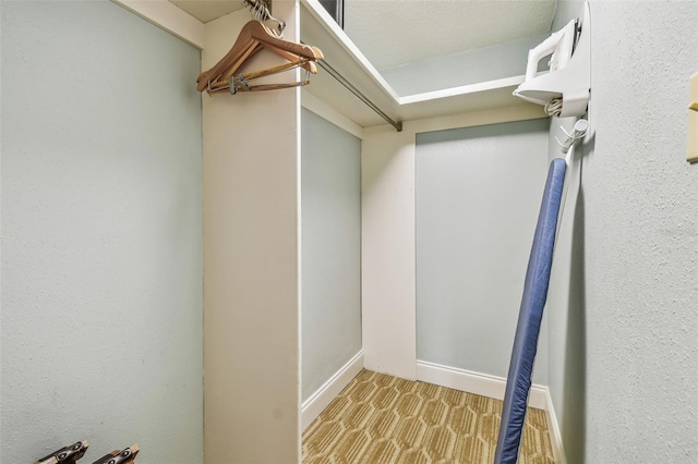 spacious closet featuring light colored carpet