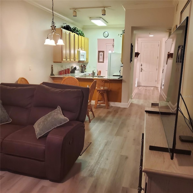 living room with crown molding, a notable chandelier, and light hardwood / wood-style flooring