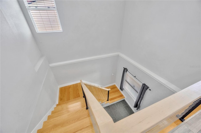 staircase with hardwood / wood-style flooring