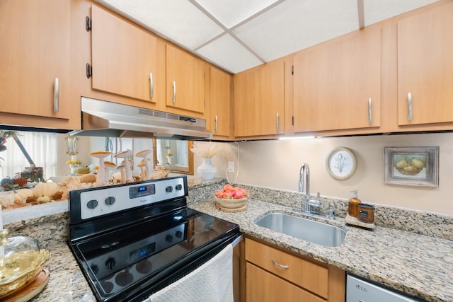 kitchen with light stone counters, dishwasher, black / electric stove, and sink