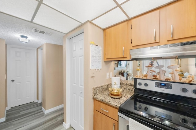 kitchen with light stone countertops, stainless steel electric stove, light brown cabinets, and light hardwood / wood-style floors