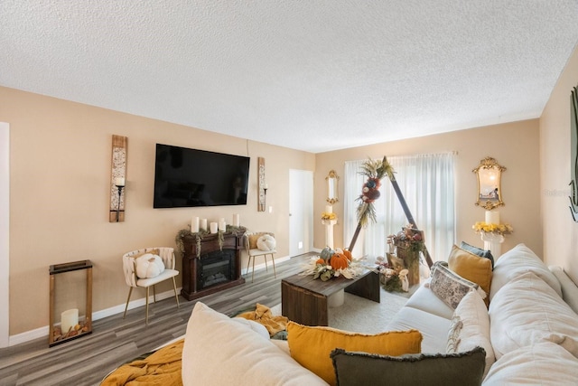 living room with a textured ceiling and hardwood / wood-style flooring