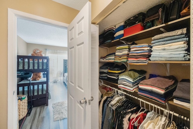 walk in closet featuring hardwood / wood-style floors