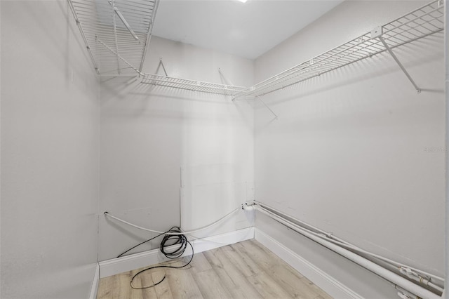 spacious closet with light wood-type flooring