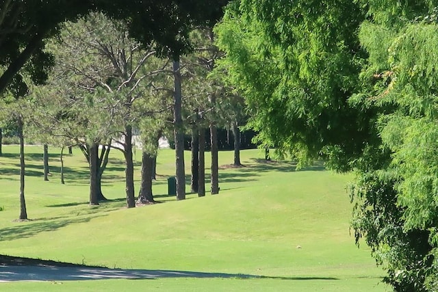 view of property's community featuring a yard