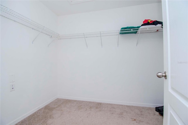 walk in closet with light carpet