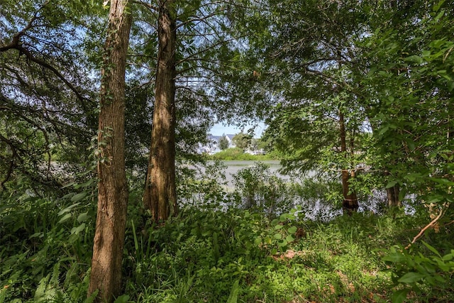 view of landscape with a water view