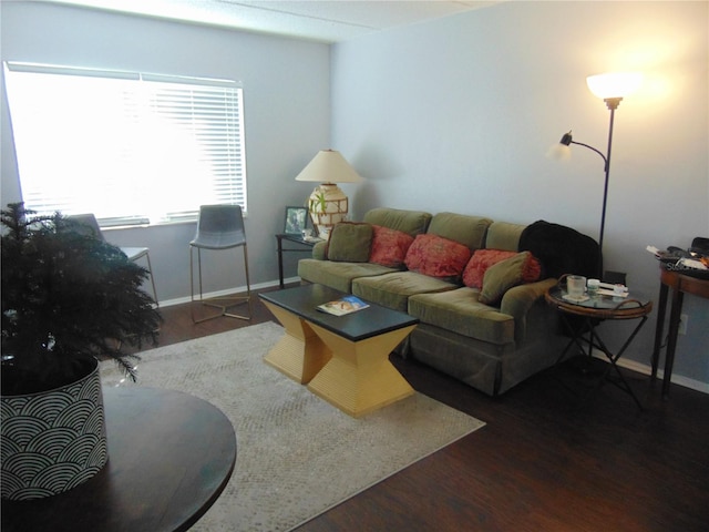 living room with baseboards and wood finished floors