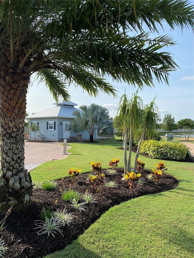 view of yard with a patio area