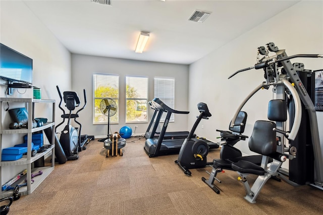 workout room featuring light colored carpet