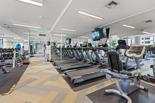 workout area featuring carpet flooring