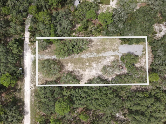 11103 Snow Lark Ave, Brooksville FL, 34614 land for sale