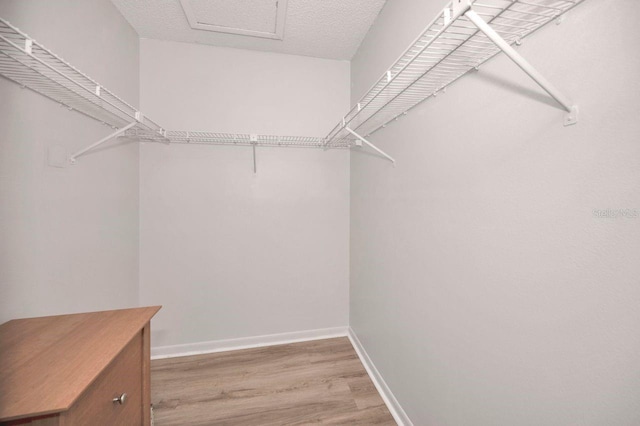 walk in closet featuring wood-type flooring