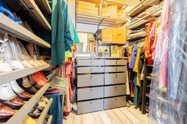 19501 Sea Myrtle Way, Tampa, FL 33647 - walk in closet featuring wood finished floors