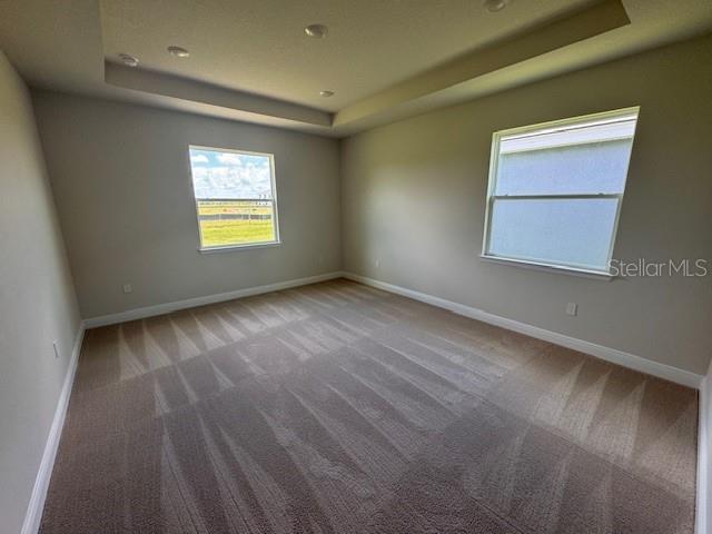 4303 Pullet Ct, Lakewood Ranch, FL 34211 - carpeted spare room with a tray ceiling and baseboards