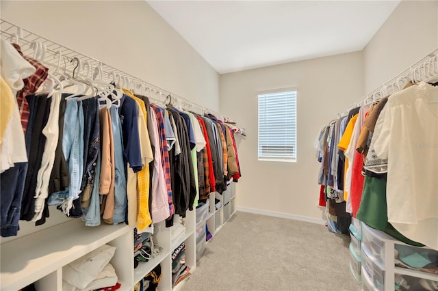 spacious closet featuring light colored carpet