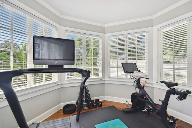 workout room featuring crown molding and plenty of natural light