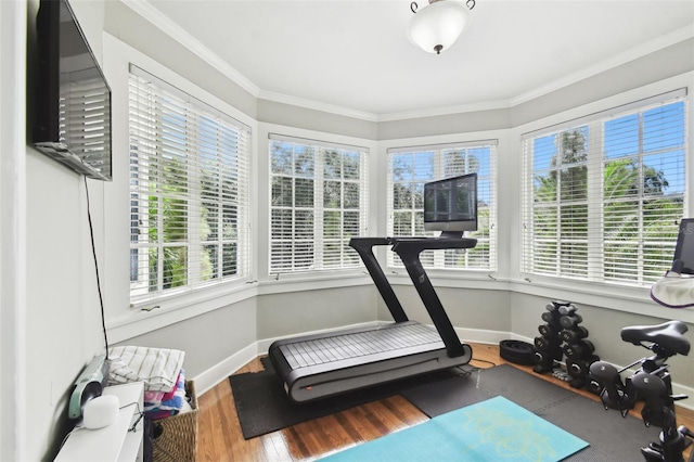 exercise room with a wealth of natural light, hardwood / wood-style flooring, and crown molding