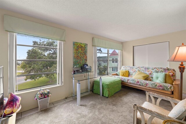 carpeted living room with a textured ceiling and a healthy amount of sunlight