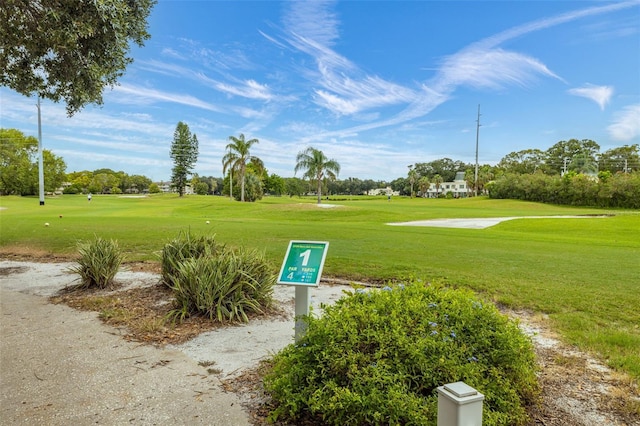 view of property's community with a yard