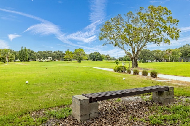 view of home's community with a lawn