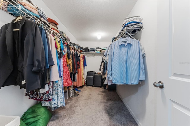 spacious closet with carpet flooring