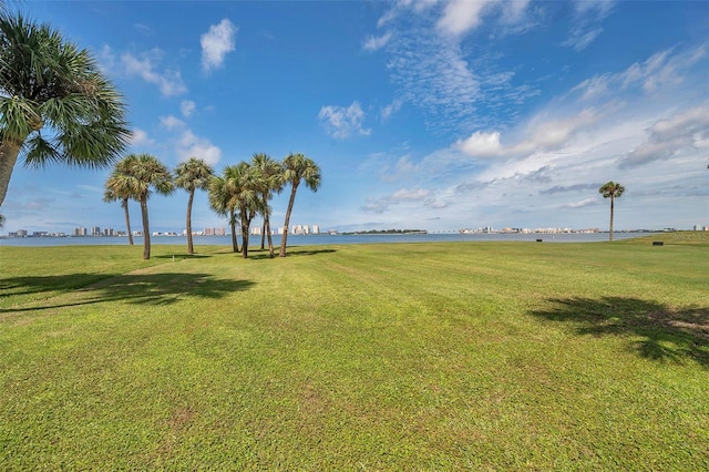 view of community with a water view and a yard