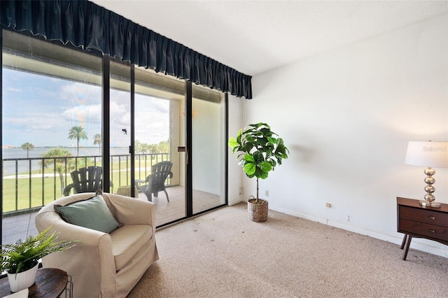 sitting room with carpet flooring