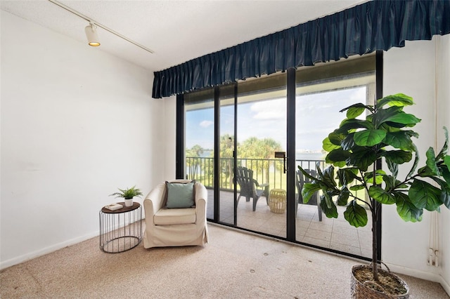 living area with a textured ceiling and carpet